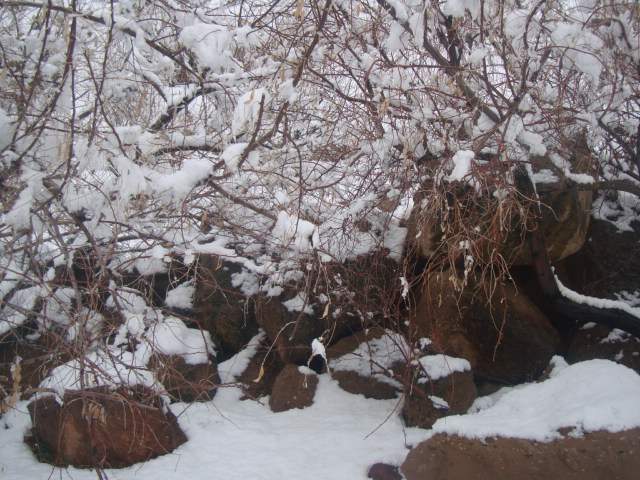 کاوه وحیدی آذر- زمستان